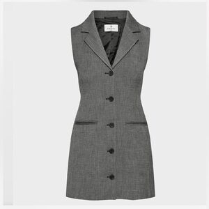 Aritzia Mastermind Dress